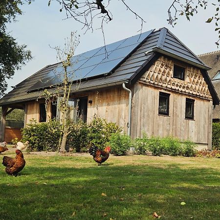 Villa Moi Meppen Extérieur photo