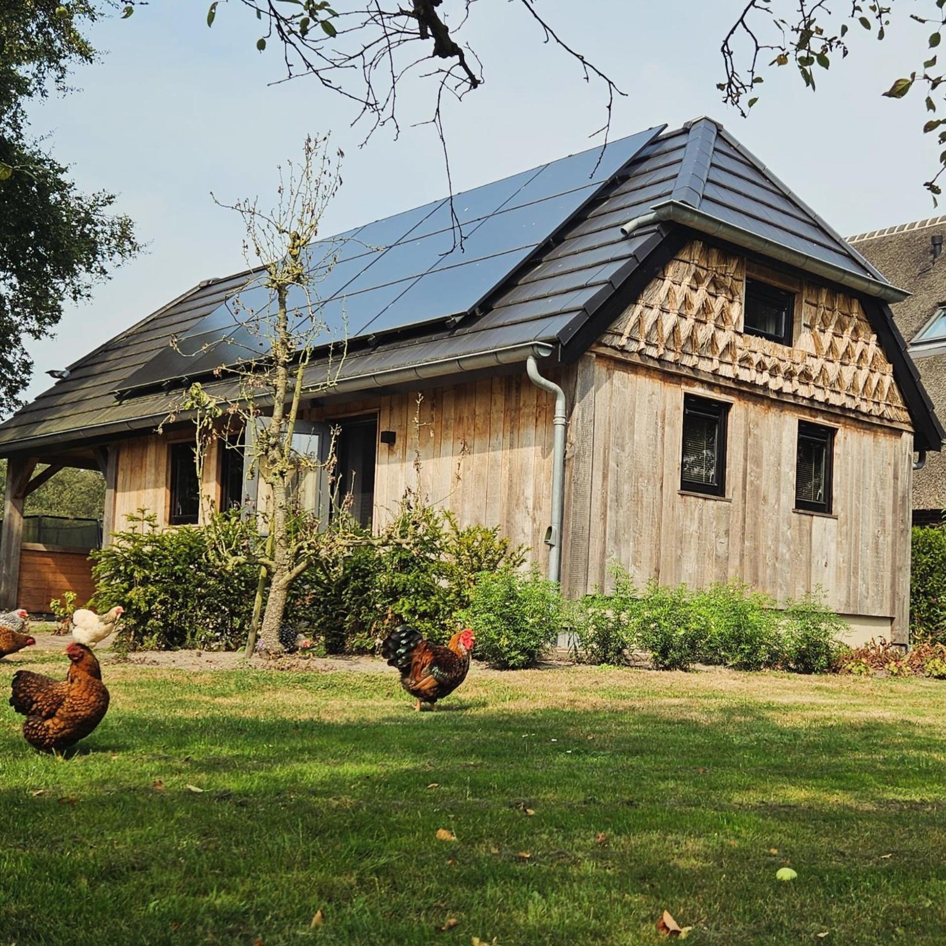 Villa Moi Meppen Extérieur photo